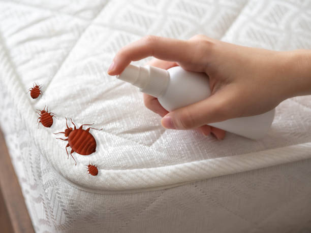 Best Pest Control for Businesses  in USA